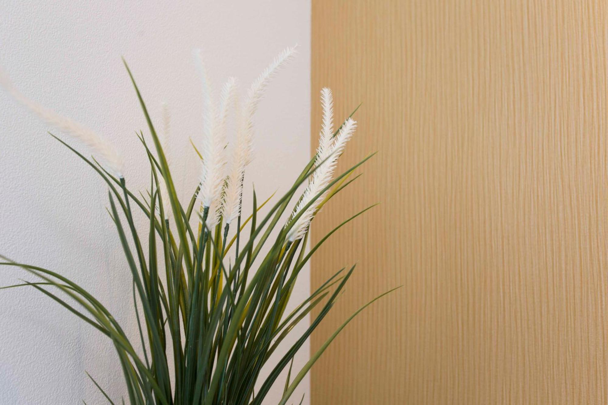 Pal-terrace Fujimi Apartamento
